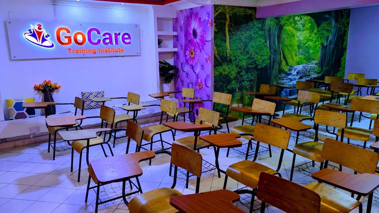 GoCare students